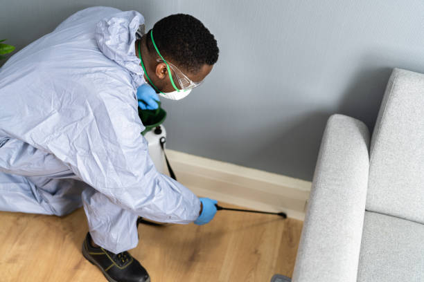 Real Estate Pest Inspections in Morton Grove, IL